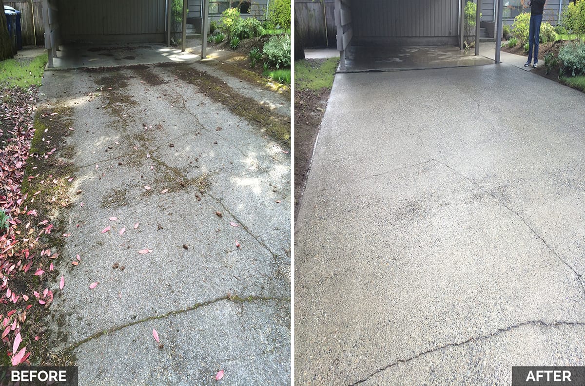 How to Earn Up to £500 a Day with a Pressure Washing Business!